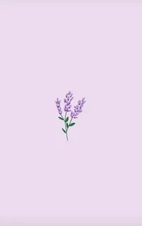 Flowerlanguage обои