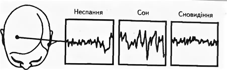 3 герца слушать для сна