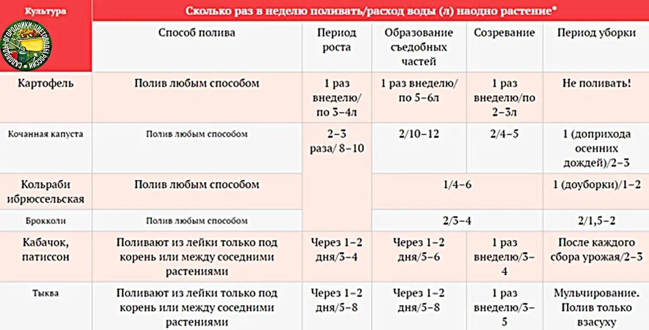 Количество воды для полива. Нормы капельного полива овощей таблица. Частота полива овощей в открытом грунте таблица. Капельный полив норма полива. Нормы полива растений таблица.