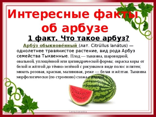 Прочитайте текст чудо арбузы расположенный справа запишите. Интересные арбузы. Интересное про Арбуз для детей. Интересные факты про Арбуз для детей. Занимательные факты об арбузе.