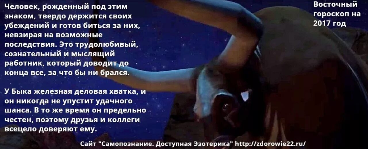 Бык стрелец. Скорпион бык характеристика. Скорпион в год козы женщина. Год быка характеристика женщины. Год тигра гороскоп.