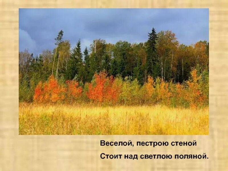 Веселой пестрою стеной. Пестрая стена. Лес словно Терем расписной. Лесловно Терем расписной.