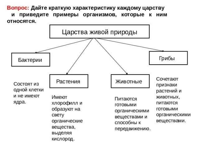 Каковы признаки живого ответ. Характеристика всех Царств живой природы кратко. Общая характеристика царства бактерий 5 класс. Царство грибов царство растений царство животных. Основные признаки Царств живой природы.