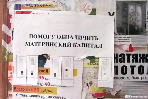 Где можно обналичить материнский