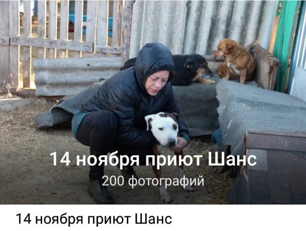 Приют шанс на жизнь телефон. Приют шанс на жизнь телефон. Приют шанс на жизнь телефон. Приют шанс на жизнь телефон. Собачий приют псков.