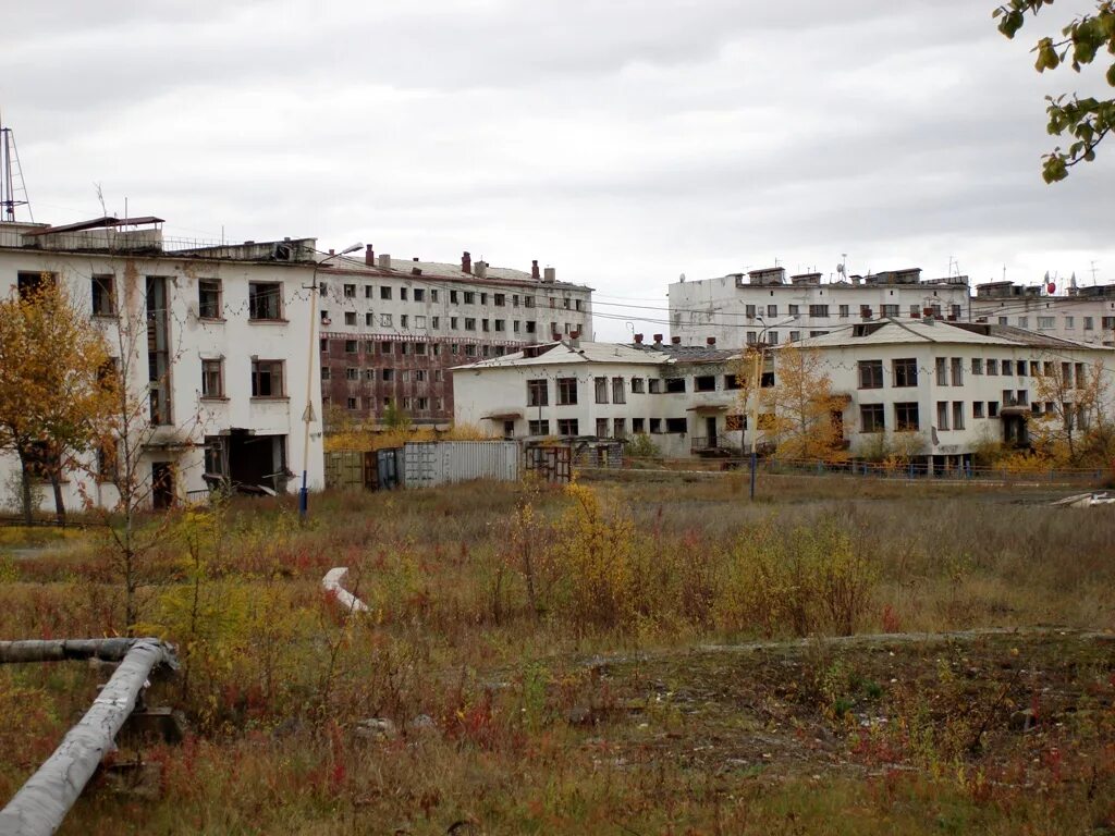 ягодное сегодня. ягодное сегодня. малиновая вишня. бабушкина клубника. вкусная вишня.