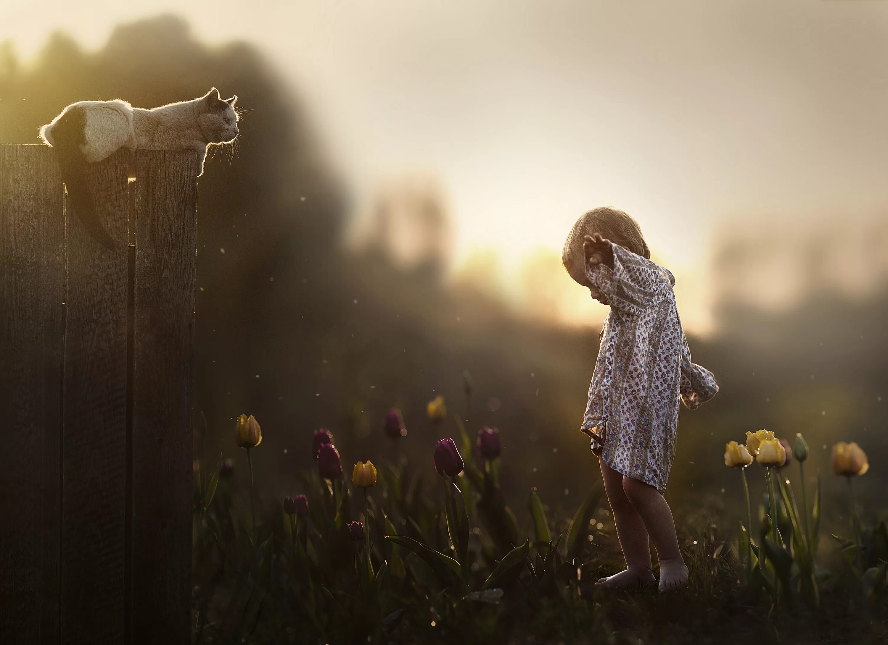 Душевная жизнь ребенка. Elena Shumilova фотограф. Душевные картинки.