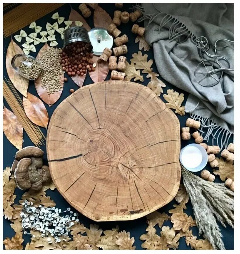 заготовка природных. заготовка природных. оригинальные деревянные изделия. набор природных материалов. для хранения желудей их необходимо просушить.