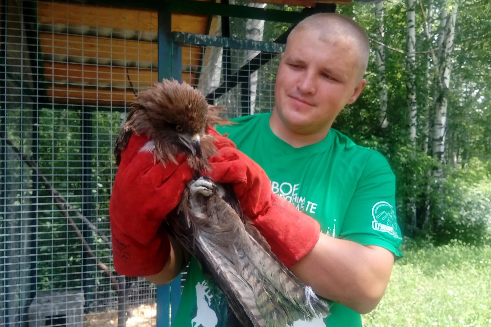 Специалист по птицам. Коршун Кемеровская область. Коршун птица. Орнитолог. Коршун и человек фото.