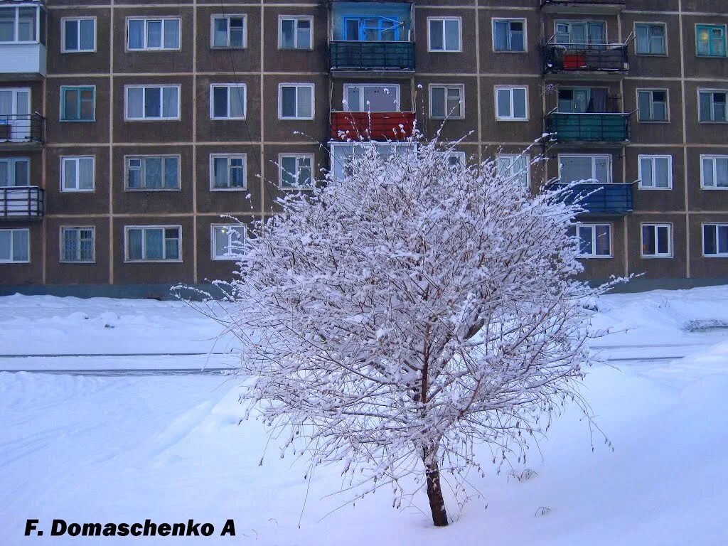 компьютер шарыпово