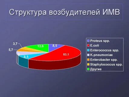 Возбудитель пиелонефрита