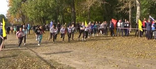 пробег в ливнах