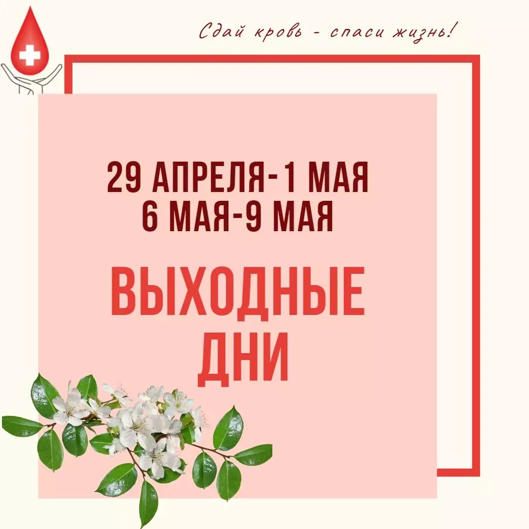 Сдэк график работы в праздники 2023 - 35/48