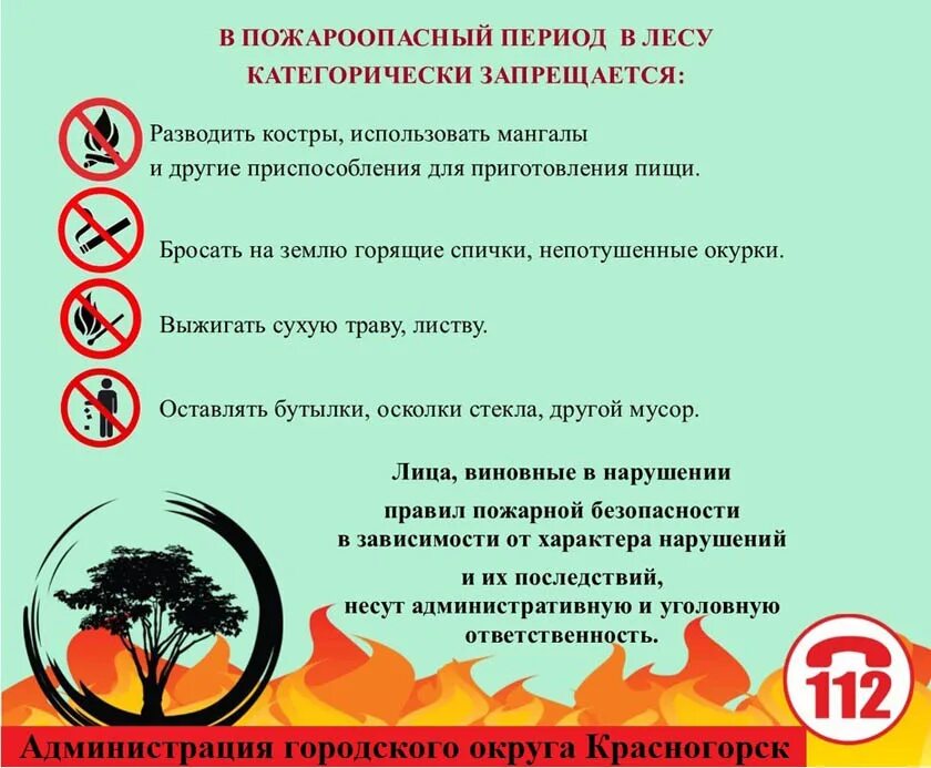 Подготовка к весенне летнему пожароопасному периоду. Памятка по ПБ В пожароопасный период. Памятка весенне летний пожароопасный период. Памятка об ответственности в пожароопасный период.