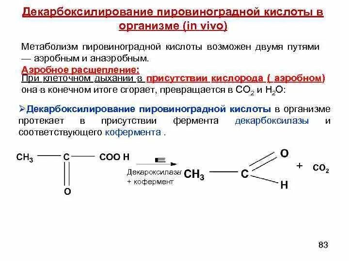 Декарбоксилирование пировиноградной кислоты in vivo. Декарбоксилирование пировиноградной кислоты. Окислительного декарбоксилирования пировиноградной кислоты in vivo. Декарбоксилирование пировиноградной кислоты реакция. Окисление пировиноградной кислоты этап