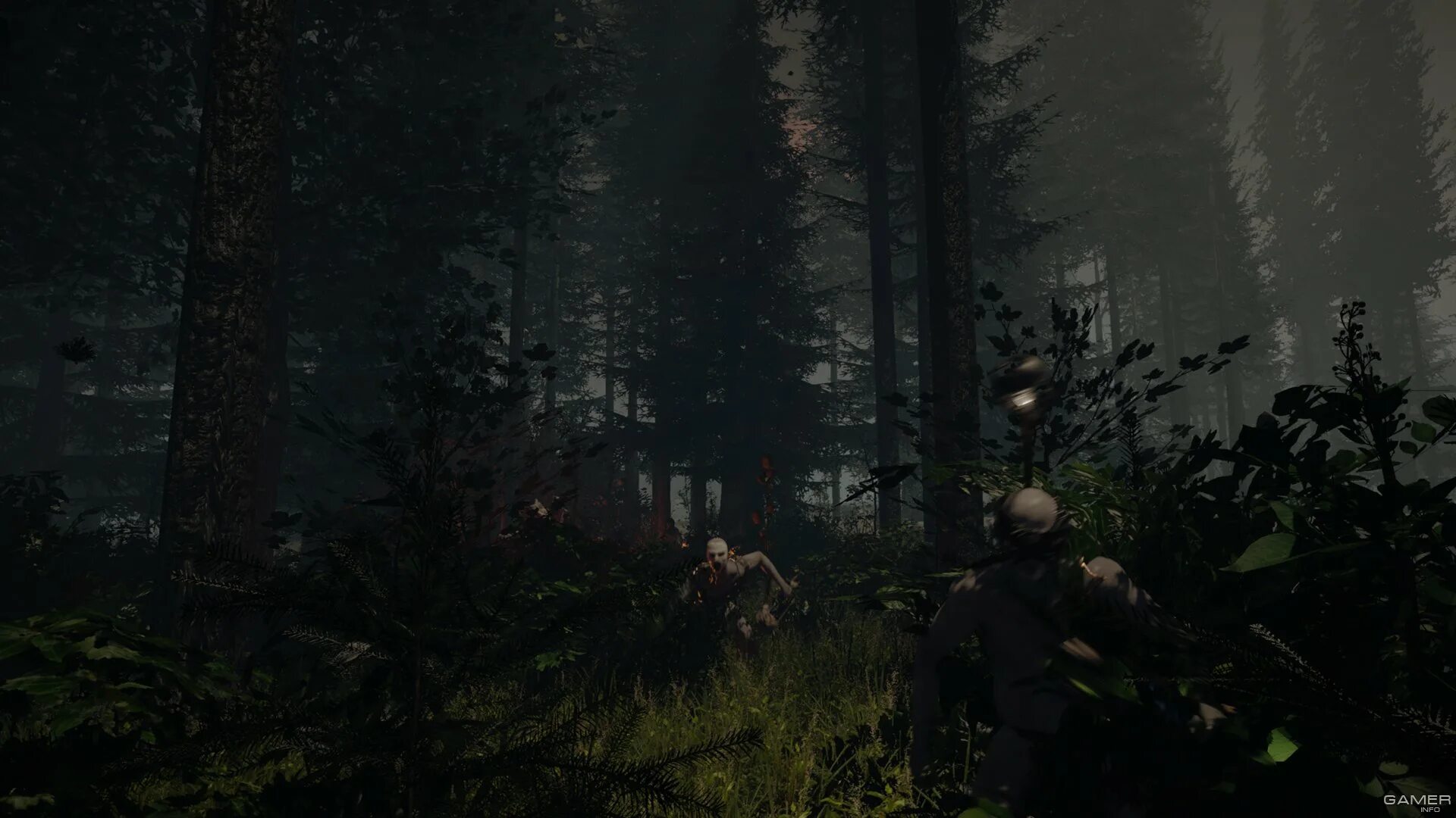 Forest игра. Forest игра хоррор. Форест через. Форест 1. The forest игра на ps4.