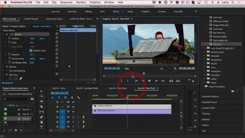 Premiere pro на весь экран
