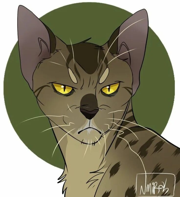 Коты воители однозвёзд. Коты воители однозвёзд. Коты воители однозвезд. Коты воители терновник. Однозвëзд.