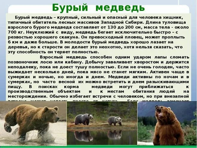 Сочинение на тему мои любимые животные. Сочинение по русскому языку 5 класс описание животного. Сочинение о животном 7 класс. Сочинение про собаку 5 класс. Сочинение о животном 7 класс.