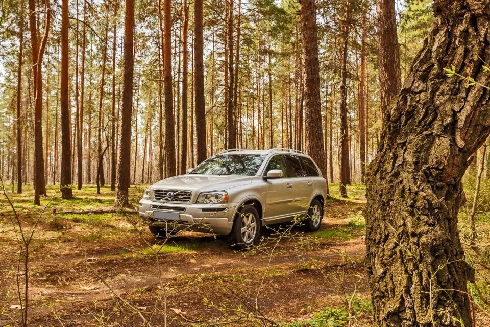 Волнуют и радуют побывать в лесу. Volvo xc90 2. Вольво хс90 бежевый. Volvo xc90 бежевый. Volvo xc70 лес.