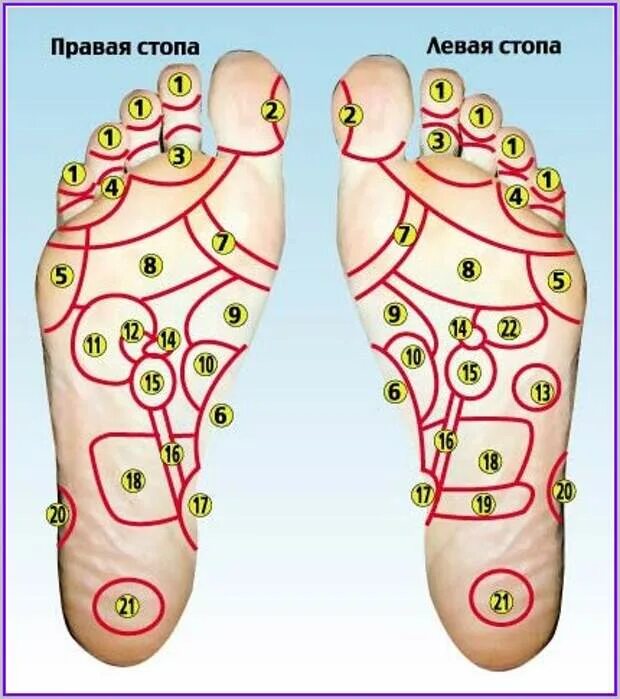 Точки на подошве ног. Массаж стопы акупунктурные точки. Активные точки на стопах ног. Точки на подошве. Массажные точки на подошве ног.