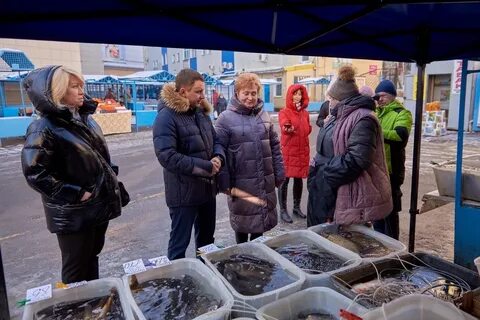 Дея курск
