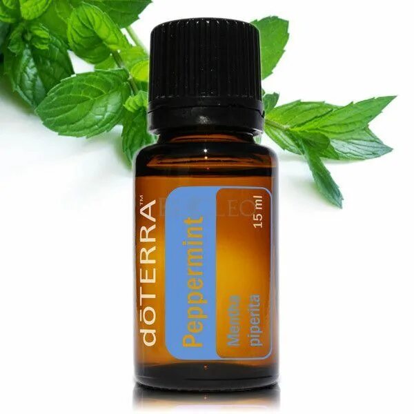 Чайное дерево doterra 5 ml. Doterra эфирное масло мята перечная. Перечная мята дотерра. Перечная мята 5 мл дотерра. Перечная мята дотерра.
