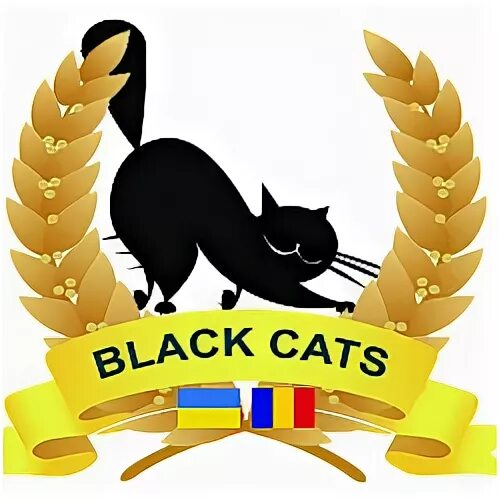 Кэт логистик