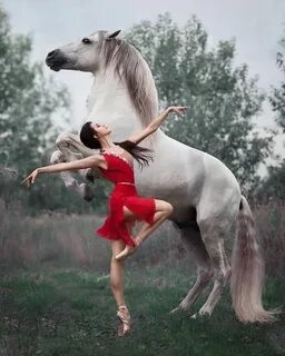 Horse dance