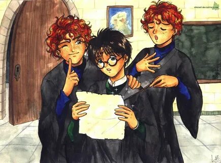 Potter twins