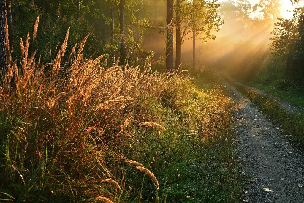 Nature can
