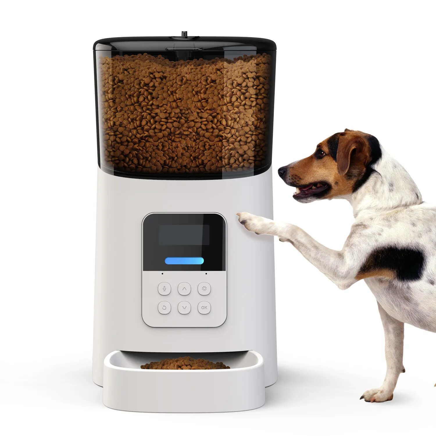 Automatic pet feeder. Автокормушки для собак Pet Feeder. Автоматическая прозрачная кормушка для домашних животных, 5,6л, без Wi-Fi. Автоматическая кормушка для кошек. Кормушка для собак автоматическая с таймером.