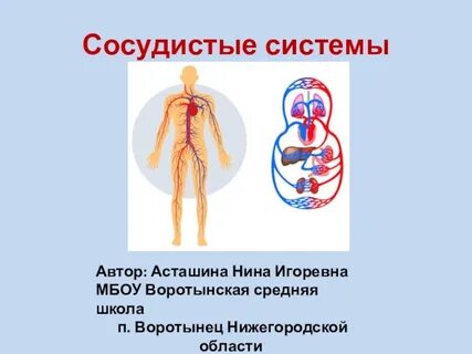 Тема презентации по биологии 8 класс