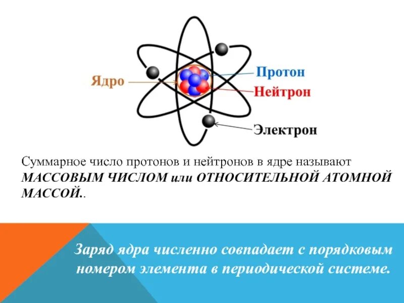Протоны и нейтроны составляющие ядро. Строение атома протоны нейтроны. строение ядра протон и электрон. строение ядра протоны и нейтроны. протоны и нейтроны в ядре.