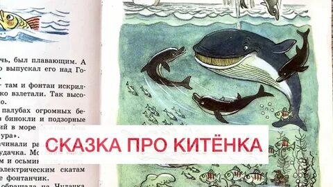 Сказка про кита
