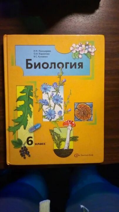 Учебник по биологии 6. Биология 6 класс Пономарева. Биология 6 класс учебник Пономарева. Учебник по биологии 6 класс.