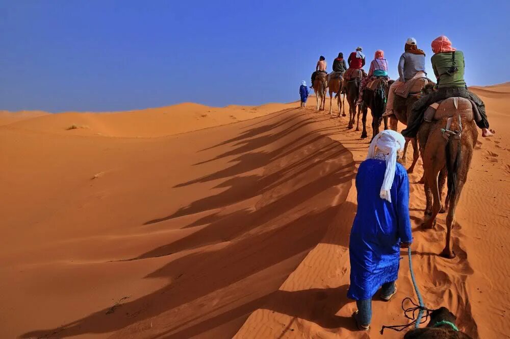Занятия людей в пустыне. Мерзуга Марокко бедуины. Марокко туареги Караван. Человек в пустыне. Путешествие в пустыню.