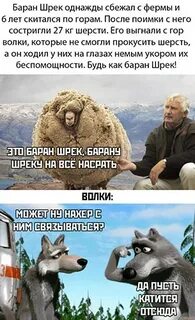 Что еще скажут волки маше