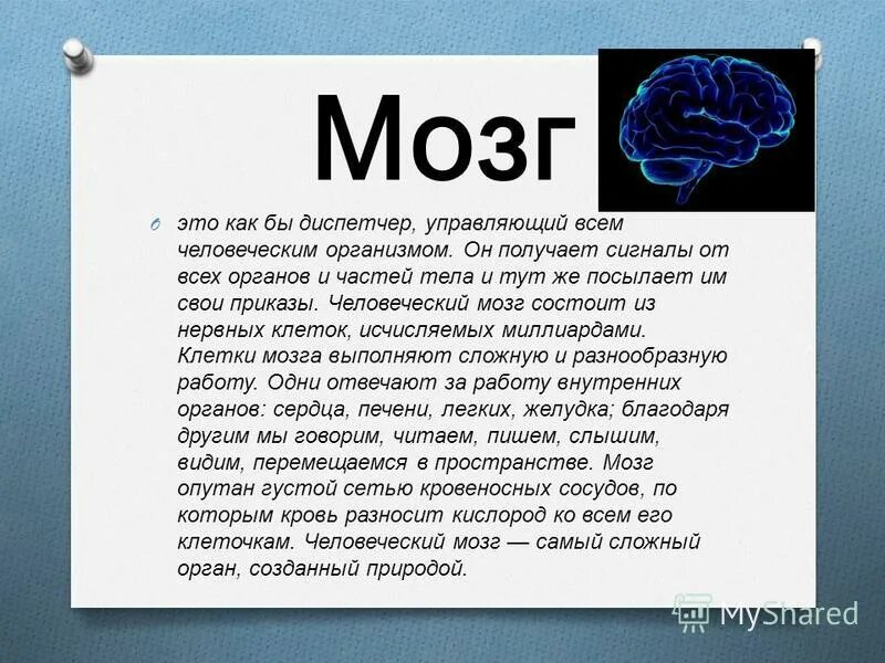 кожа самый большой орган человеческого тела. кожа самый большой орган человеческого тела. 2 самых больших органов. самый тяжелый внутренний орган. кожа человека.