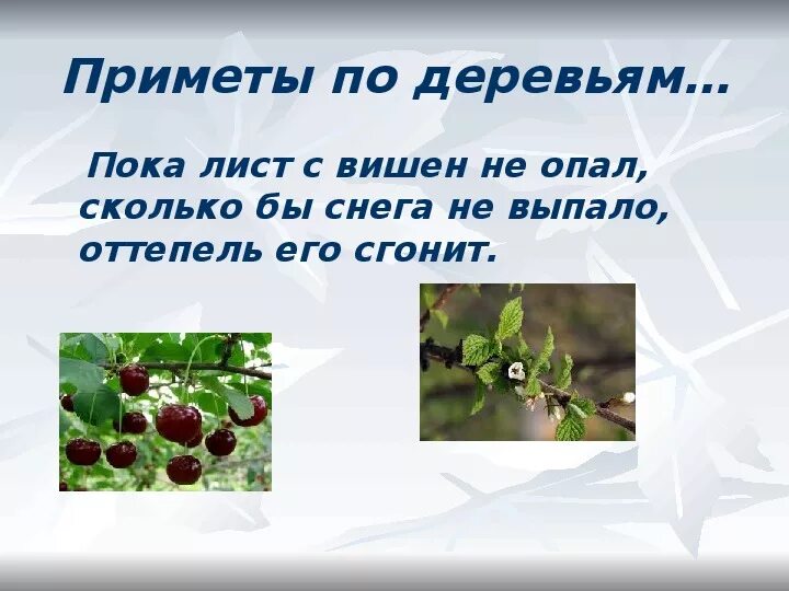 Если в твоем крае есть. Народные приметы о погоде. Приметы связанные с природой. Приметы на погоду окружающий мир. Презентация на тему народные приметы.