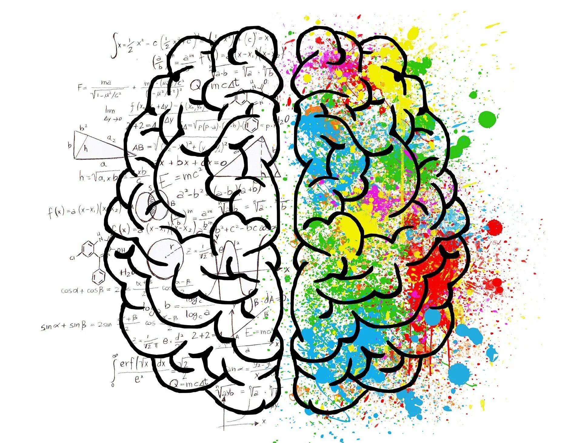 1 2 3 1 brain