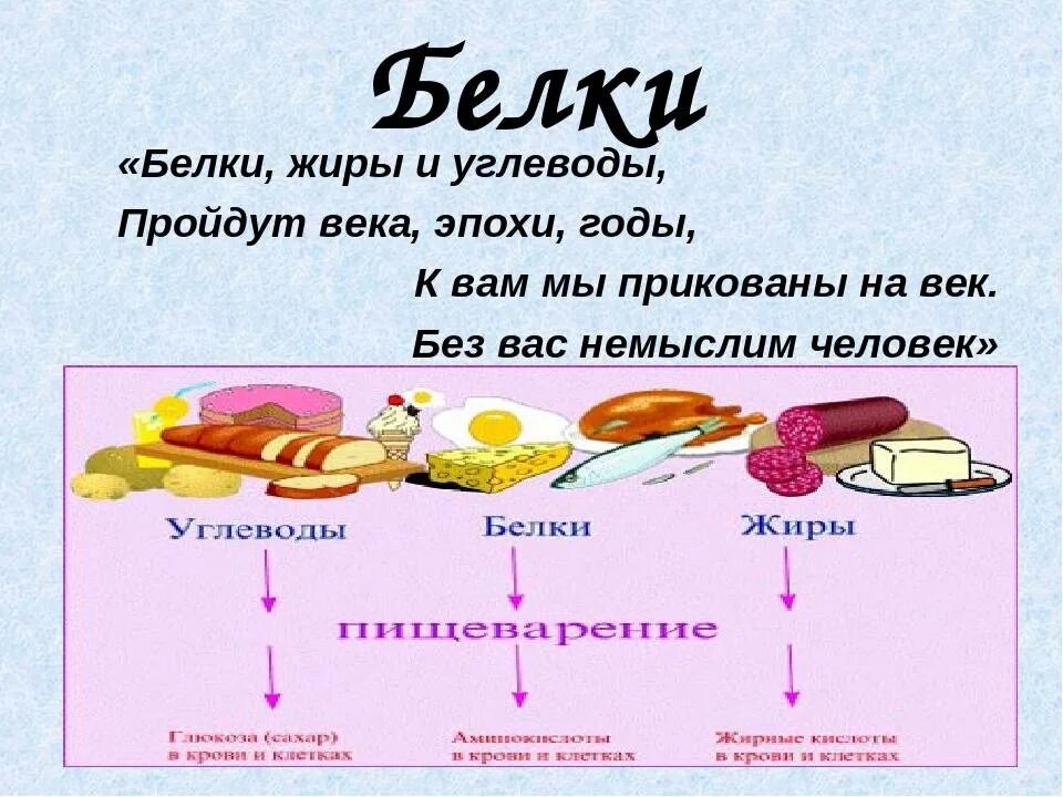 Белки жиры углеводы. Жиры и углеводы. Белок жиры и углеводы. Примеры белков жиров и углеводов. Для чего нужен белок и углеводы