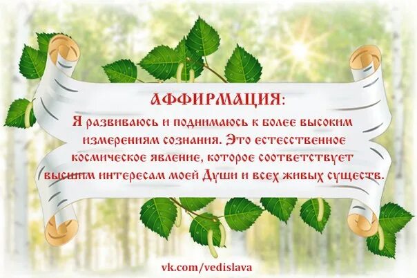 Аффирмация благодарности слушать. Аффирмации для похудения. аффирмация дня. аффирмации для женщин. аффирмации картинки.