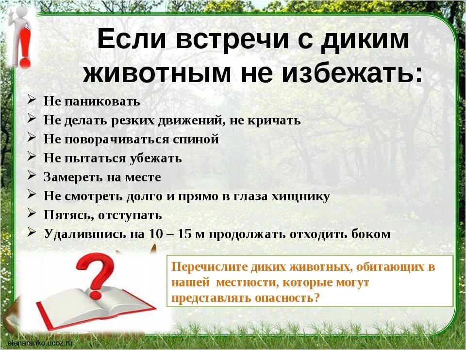 Выберите время отдыха которое по общему правилу. Правила поведения с дикими животными. Правило поведения при встреча с дикими животными. Что делать при встрече с дикими животными. Безопасность при встрече с дикими животными.