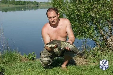 Клев курская область