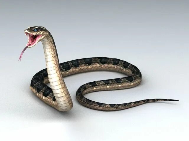Cobra 3d model. Бумсланг змея. Тигровый питон нормал. Змея анимация. Змей мах.
