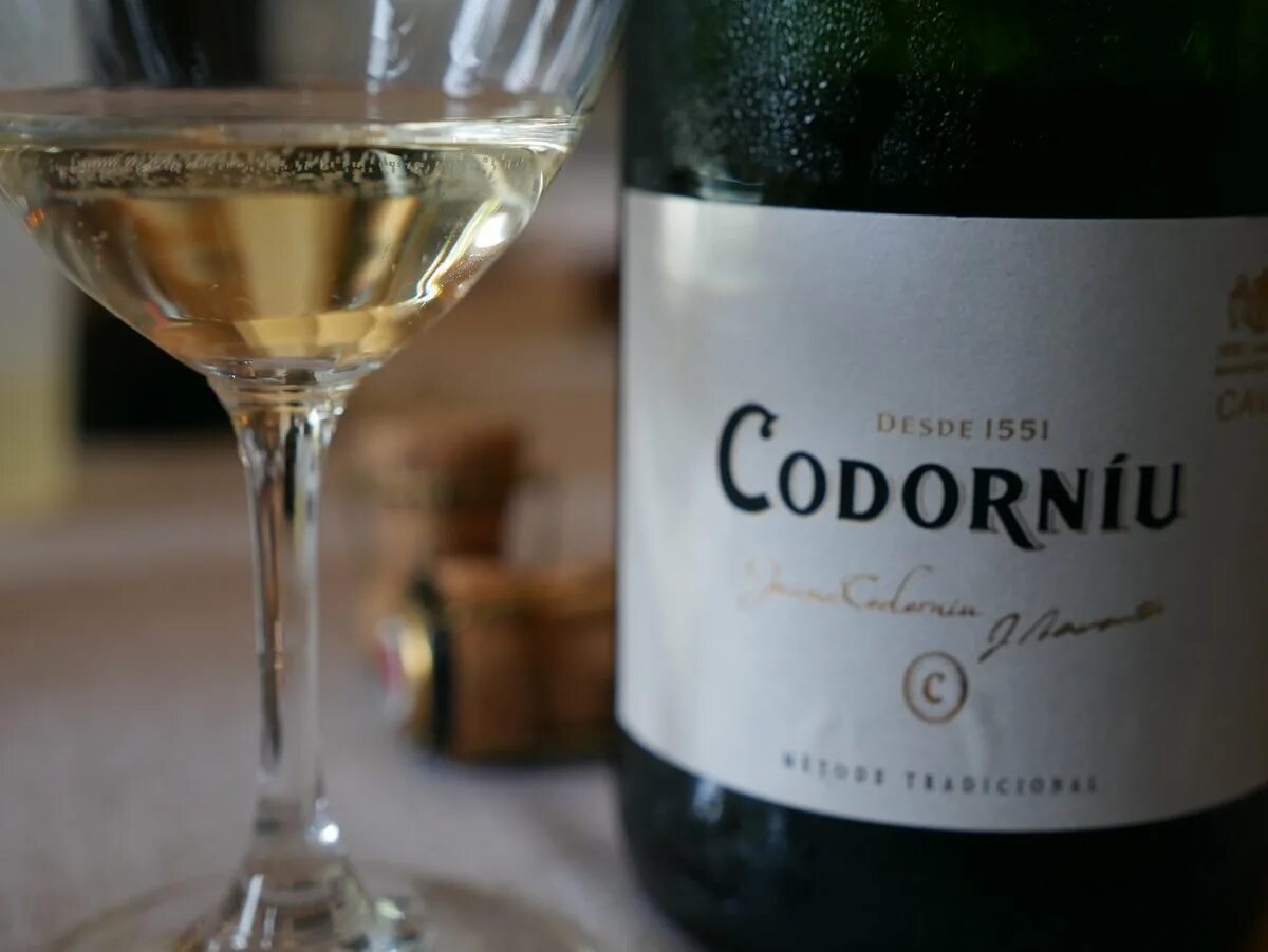 Codorniu zero. Безалкогольное вино zero codorniu. zero codorniu безалкогольное розовое вино. кава безалкогольная codorniu. codorniu clasico brut с 1551.