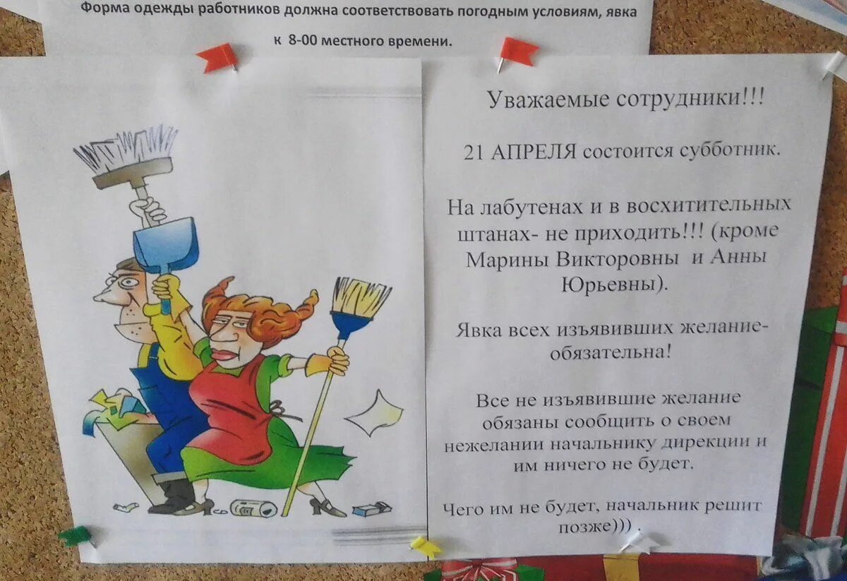 Явка строго