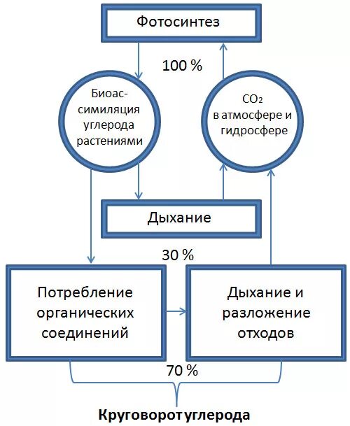 Круговорот углерода химия 9 класс. Круговорот углерода в природехема. Круговорот углерода схема. Круговорот углерода в природе схема. Круговорот углерода в природе схема кратко.