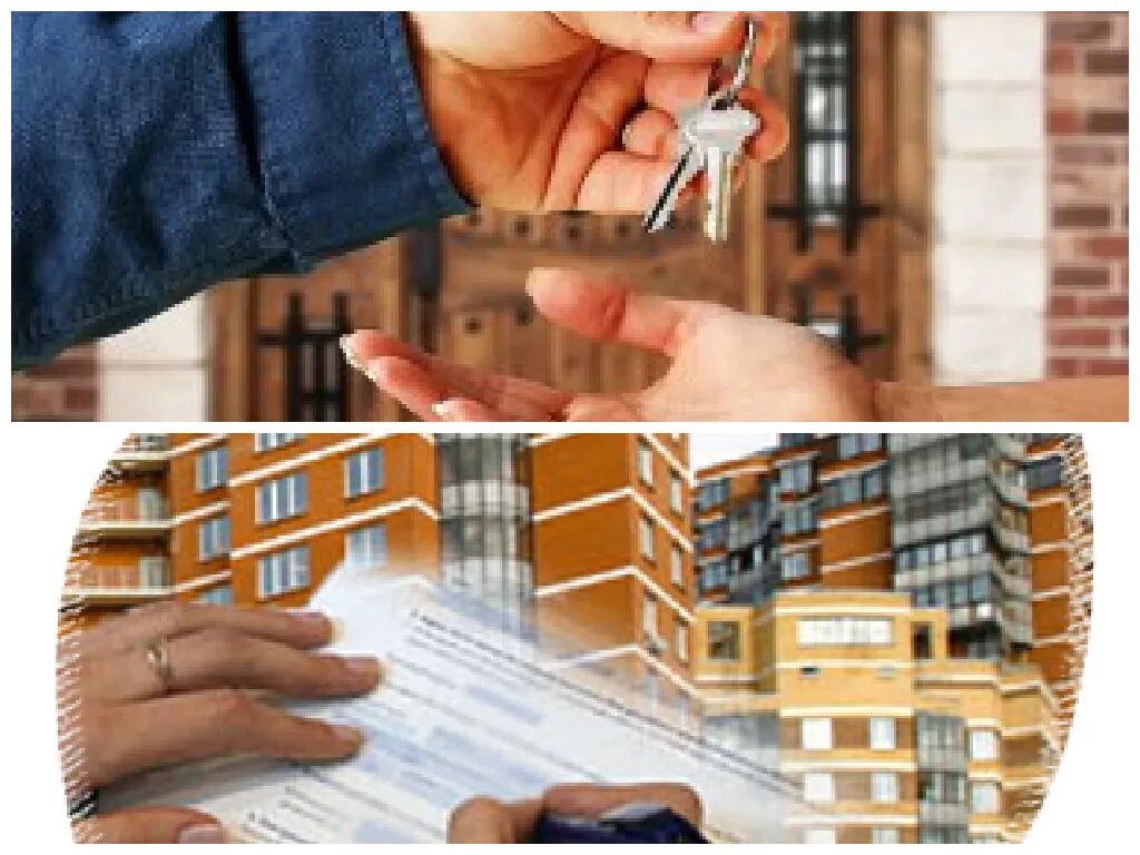 Доход от аренды недвижимости. Сдача в аренду помещения самозанятый. Какой штраф за незаконную сдачу квартиры в аренду. Сдача в аренду помещения самозанятый. Сдача квартиры в аренду налоги.